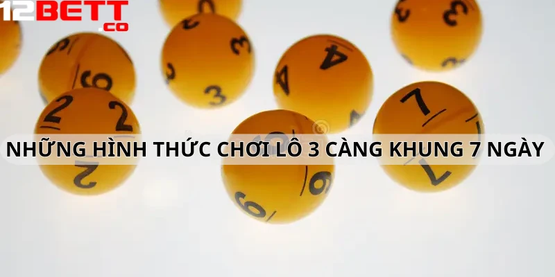 Những hình thức chơi lô 3 càng khung 7 ngày